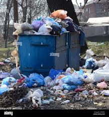Best Yard Waste Removal  in Dorr, MI